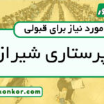 رتبه قبولی پرستاری شیراز