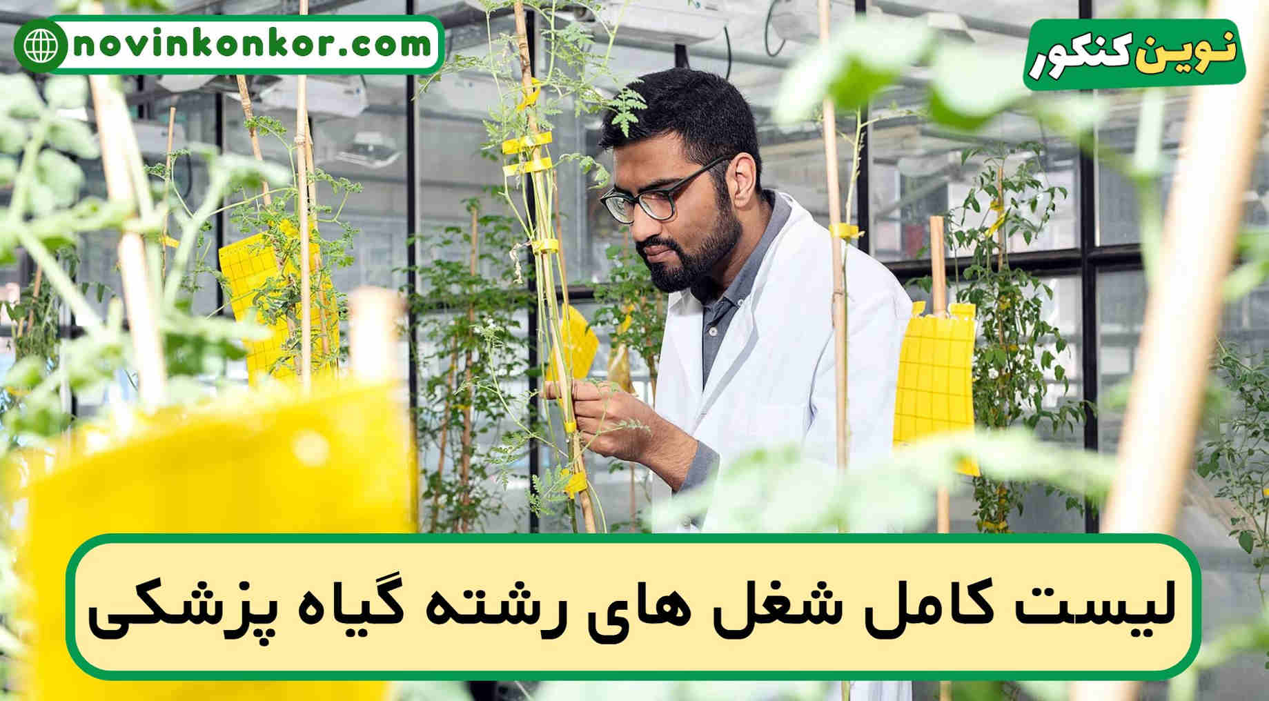 شغل های رشته گیاه پزشکی