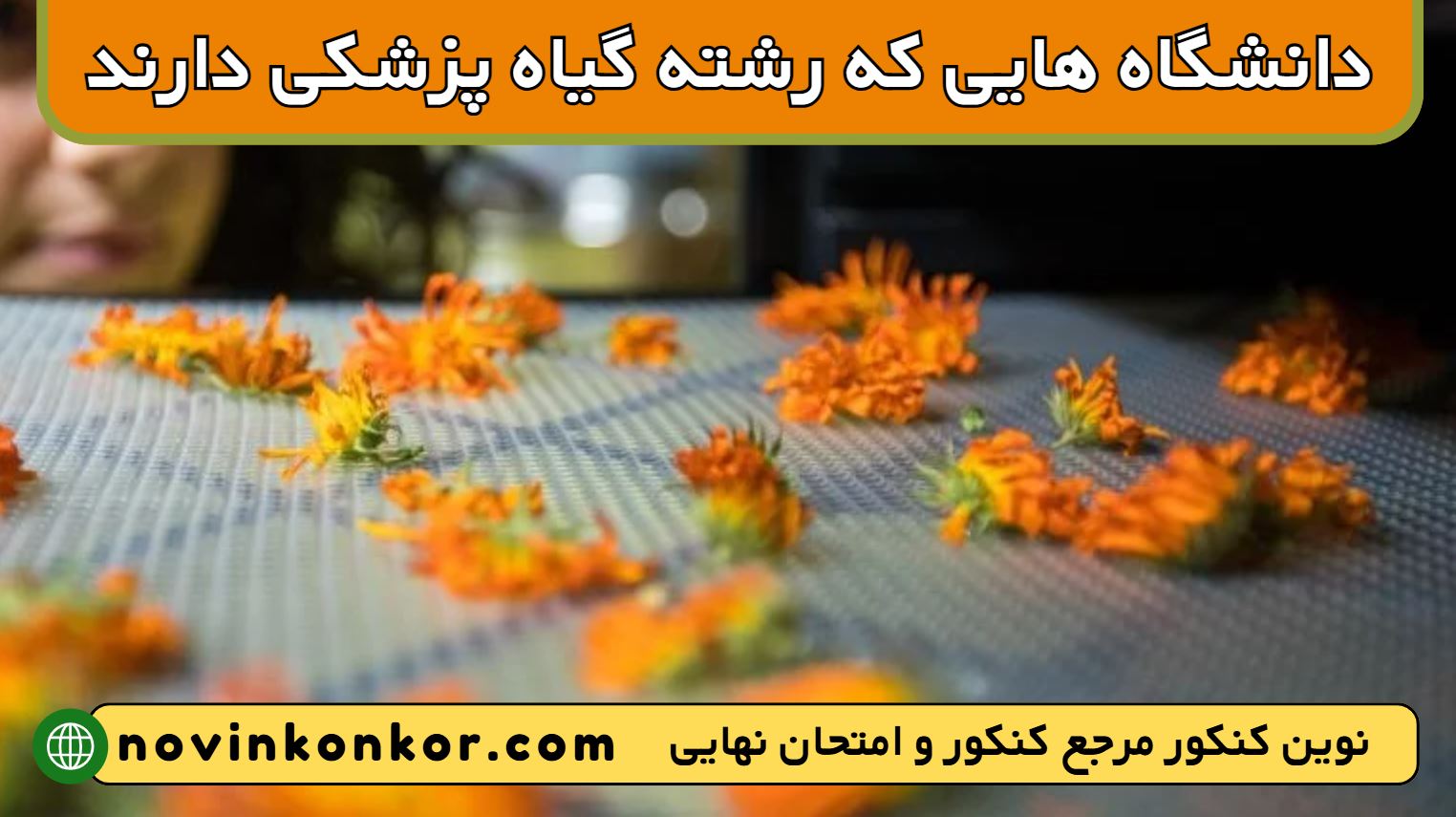 دانشگاه های رشته گیاه پزشکی