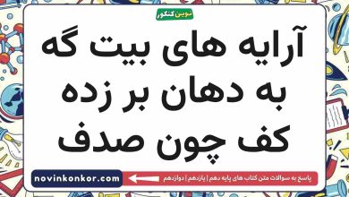 آرایه های بیت گه به دهان بر زده کف چون صدف را بنویسید