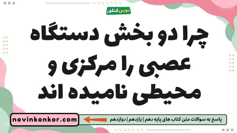 چرا دو بخش دستگاه عصبی را مرکزی و محیطی نامیده اند