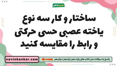 ساختار و کار سه نوع یاخته عصبی حسی حرکتی و رابط را مقایسه کنید
