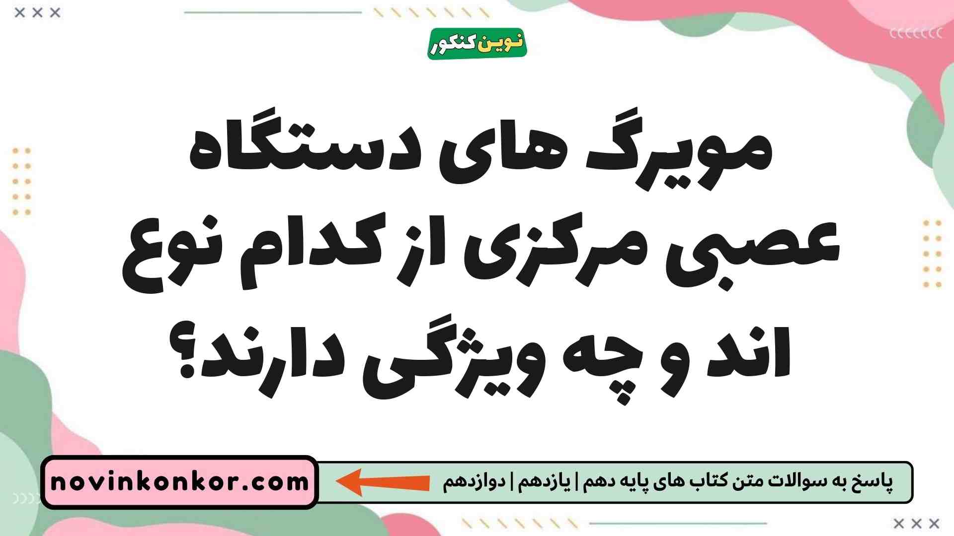 مویرگ های دستگاه عصبی مرکزی از کدام نوع اند و چه ویژگی دارند