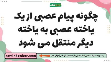 چگونه پیام عصبی از یک یاخته عصبی به یاخته دیگر منتقل می شود