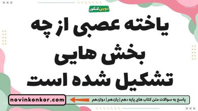 یاخته عصبی از چه بخش هایی تشکیل شده است