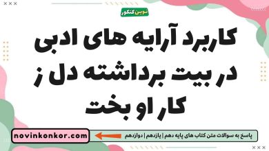 کاربرد آرایه های ادبی در بیت برداشته دل ز کار او بخت