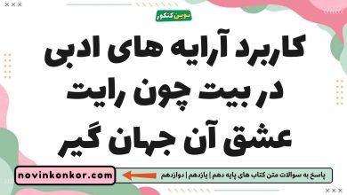 کاربرد آرایه های ادبی در بیت چون رایت عشق آن جهان گیر فارسی یازدهم