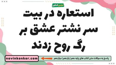 استعاره در بیت سر نشتر عشق بر رگ روح زدند فارسی یازدهم