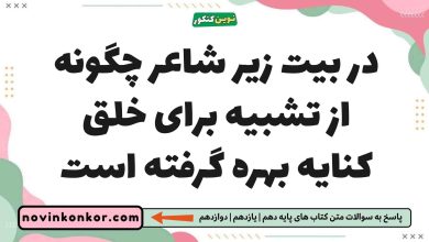 در بیت زیر شاعر چگونه از تشبیه برای خلق کنایه بهره گرفته است