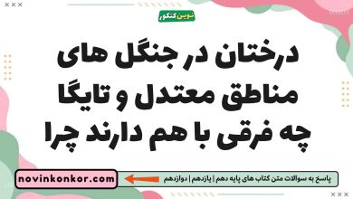 درختان در جنگل های مناطق معتدل و تایگا چه فرقی با هم دارند چرا