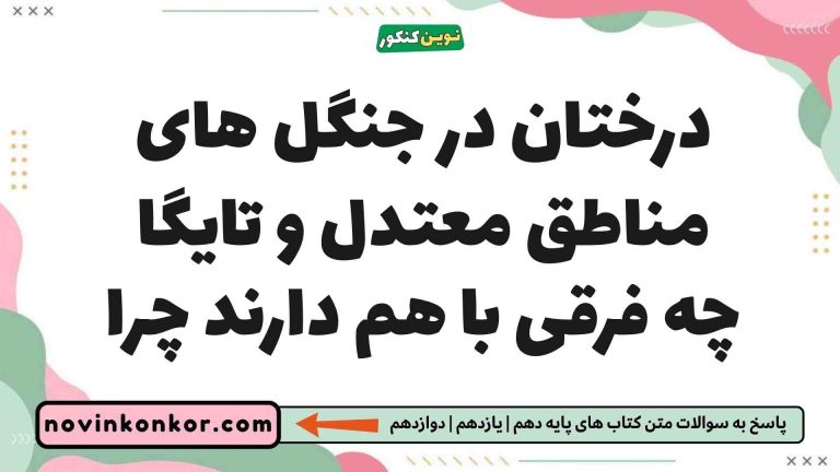 درختان در جنگل های مناطق معتدل و تایگا چه فرقی با هم دارند چرا [کلیک کنید]