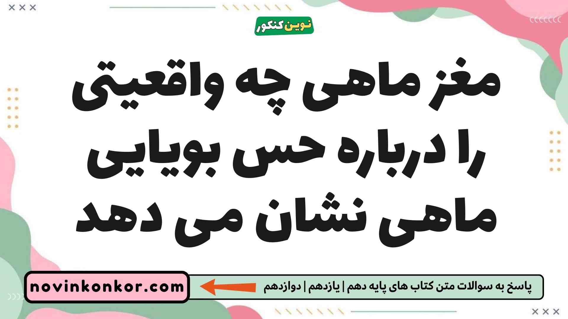 مغز ماهی چه واقعیتی را درباره حس بویایی ماهی نشان می دهد