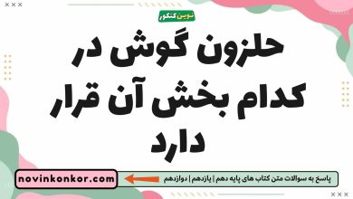 حلزون گوش در کدام بخش آن قرار دارد