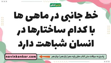 خط جانبی در ماهی ها با کدام ساختارها در انسان شباهت دارد