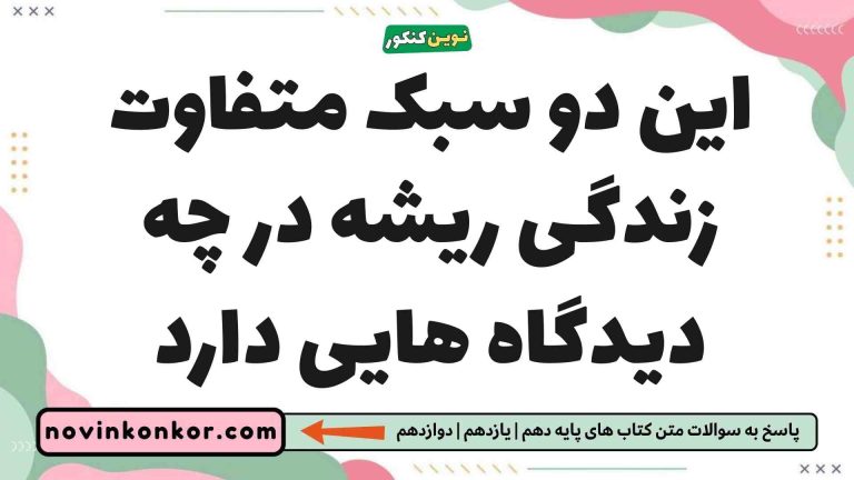 این دو سبک متفاوت زندگی ریشه در چه دیدگاه هایی دارد (دیدن جواب)