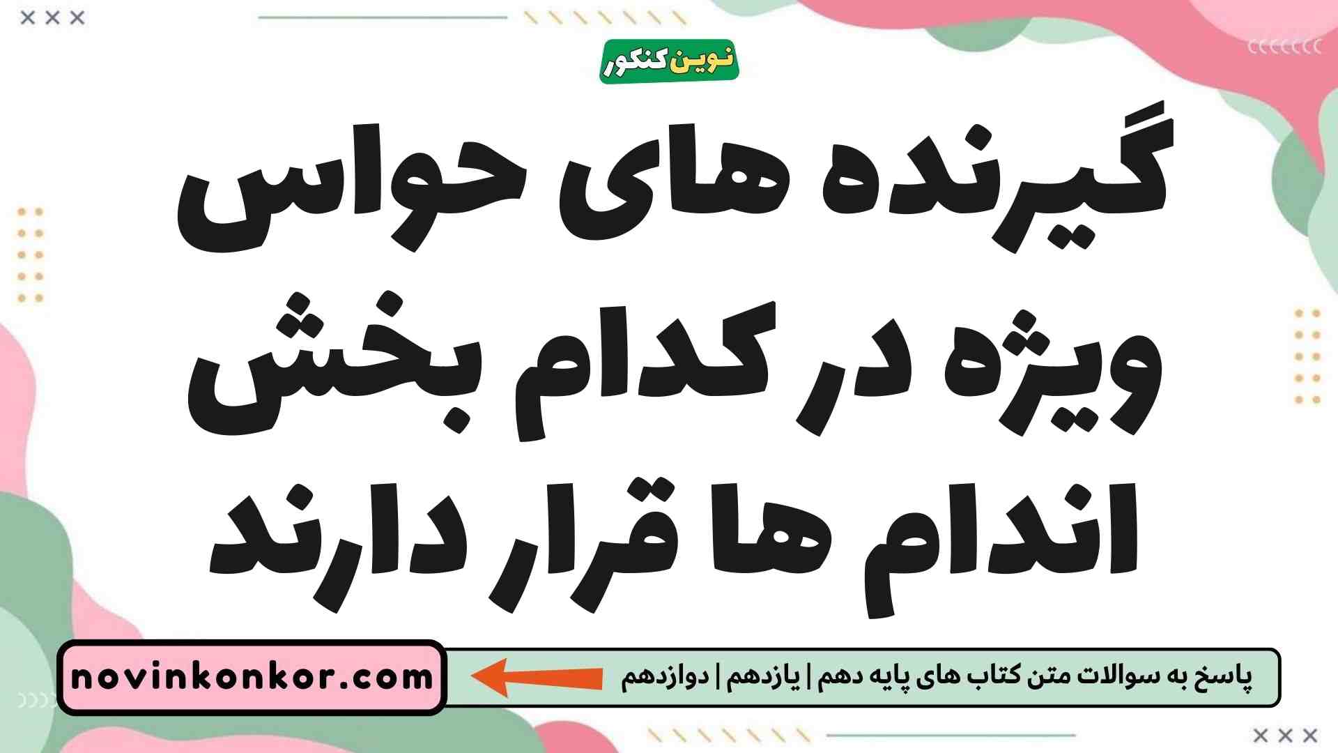 گیرنده های حواس ویژه در کدام بخش اندام ها قرار دارند زیست یازدهم