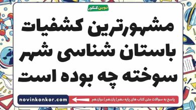 مشهورترین کشفیات باستان شناسی شهر سوخته چه بوده است