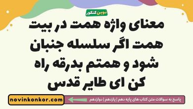 معنای واژه همت در بیت همت اگر سلسله جنبان شود و همتم بدرقه راه کن ای طایر قدس
