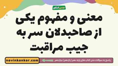 معنی و مفهوم یکی از صاحبدلان سر به جیب مراقبت