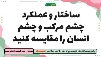 ساختار و عملکرد چشم مرکب و چشم انسان را مقایسه کنید