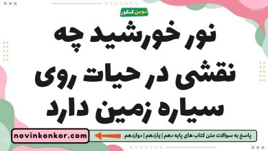 نور خورشید چه نقشی در حیات روی سیاره زمین دارد