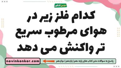 کدام فلز زیر در هوای مرطوب سریع تر واکنش می دهد شیمی یازدهم