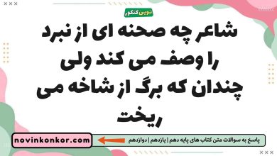 شاعر چه صحنه ای از نبرد را وصف می کند ولی چندان که برگ از شاخه می ریخت