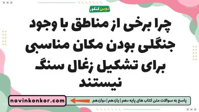 چرا برخی از مناطق با وجود جنگلی بودن مکان مناسبی برای تشکیل زغال سنگ نیستند